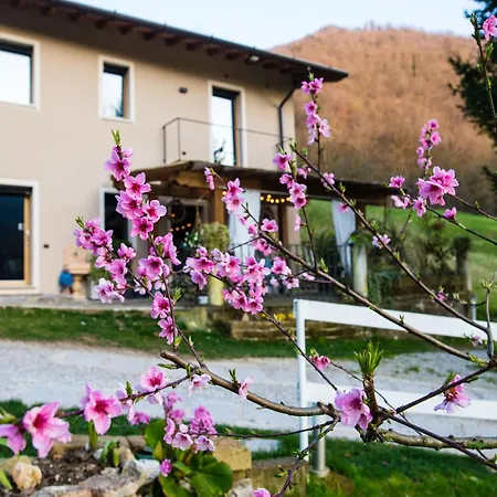 Daire Cascina Canale *