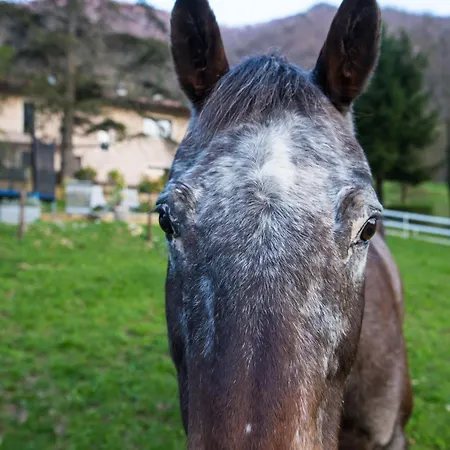 Cascina Canale