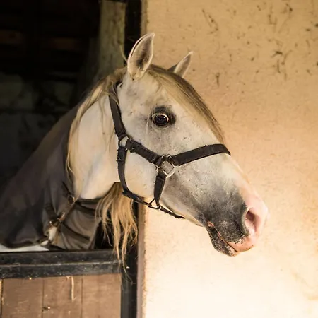 Cascina Canale Apartment *