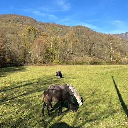Cascina Canale Appartamento Sabbio Chiese